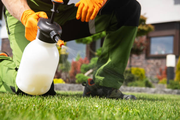 Best Wildlife Control Services  in Louisiana, MO