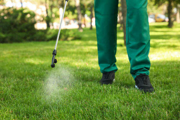 Pest Control Cost in Louisiana, MO