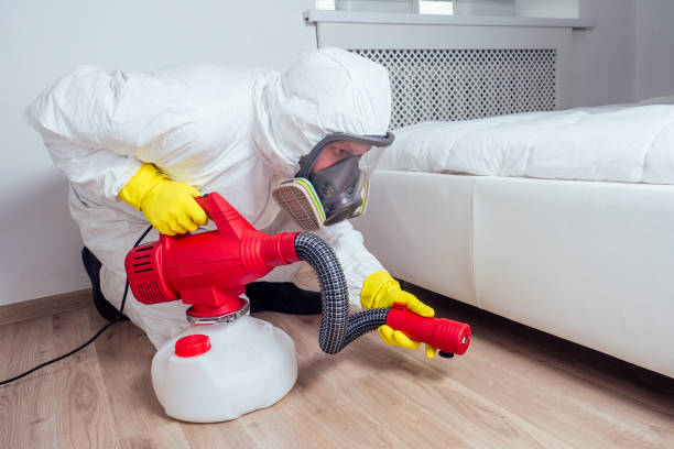 Best Termite Control Services  in Louisiana, MO
