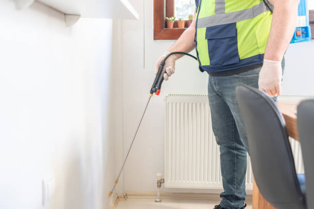 Best Cockroach Control Services  in Louisiana, MO